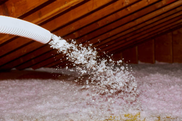 Best Eco-Friendly Insulation in Zephyrhills West, FL