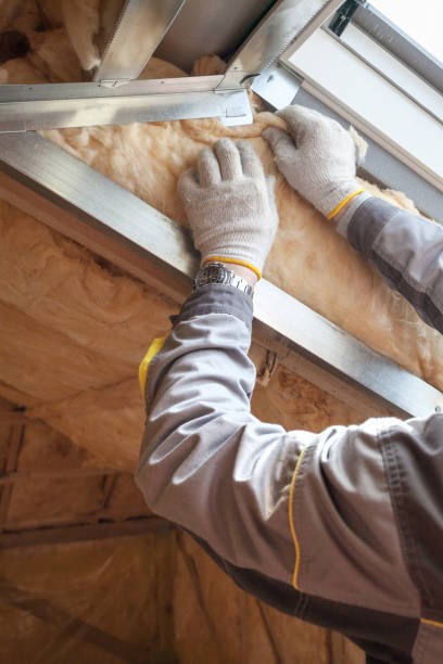 Types of Insulation We Offer in Zephyrhills West, FL