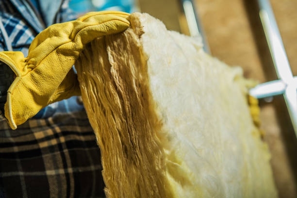 Best Commercial Insulation in Zephyrhills West, FL