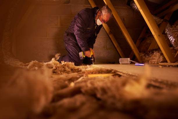 Best Commercial Insulation in Zephyrhills West, FL